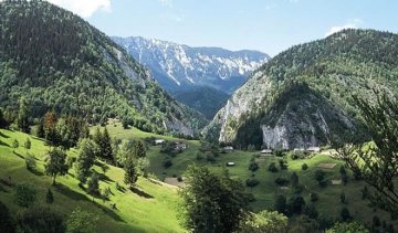 Всесвітній фонд природи врятує від зникнення українські Карпати