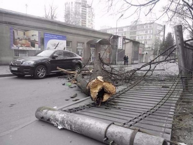 Сорванные крыши и сломанные деревья: что натворил ураган в Харькове