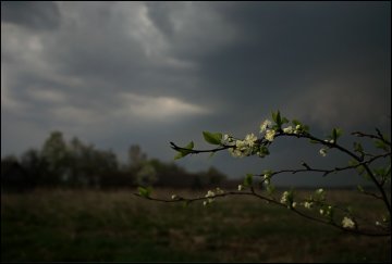 Погода на 15 мая: в Украину возвращается мокрая мерзость