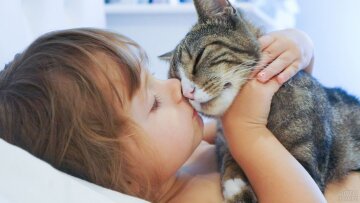 "Хочу котика!": что стоит знать, прежде чем завести животное для ребенка