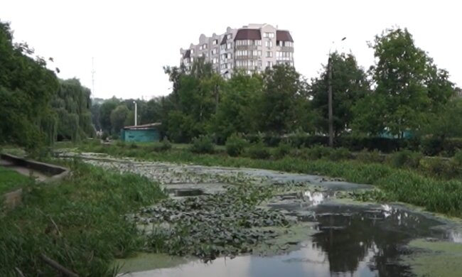 Прогноз погоди, скріншот з відео
