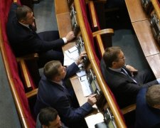 Правкам до закону Савченко не вистачило голосів