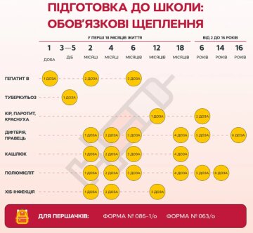 Список обязательных прививок, скриншот: Викна