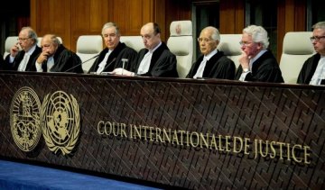 Зеркаль ответила на критику украинской позиции в Гааге