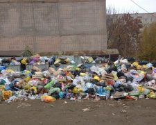 За бросок мимо урны киевляне заплатят 22 тыс. гривен