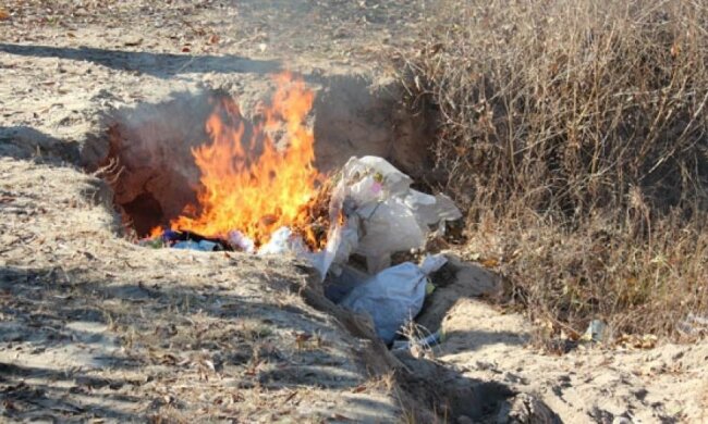 Партію наркотиків на 1,5 млн грн знищили на Донеччині