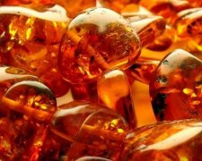 На Житомирщине задержали нелегальных копателей янтаря