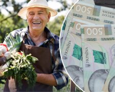 Гроші на город та господарство