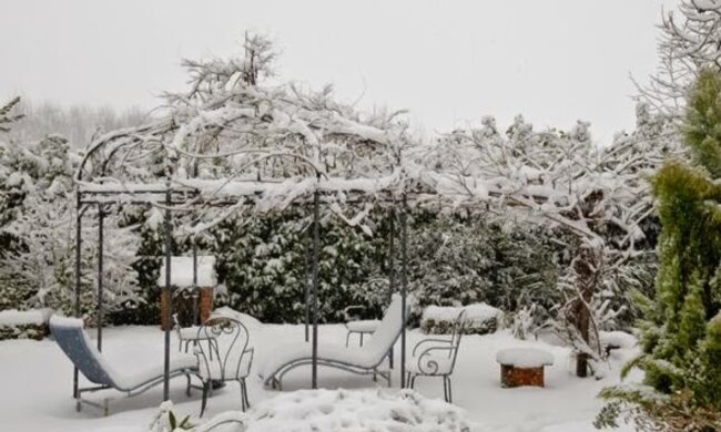 Зимовий сад, фото зі вільних джерел