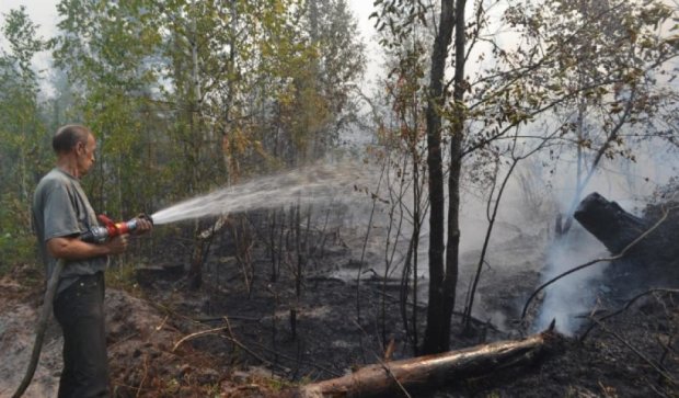 К тушению масштабного пожара в Киевской области привлекли два вертолета (відео)