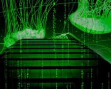 Стало відомо, чим шкодять світові Google, Apple і Facebook