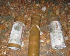 СБУ знайшла на Донеччині схованку із фугасними снарядами (фото)