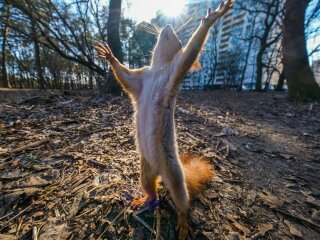 Прогноз погоди на 2 квітня, фото: Главком