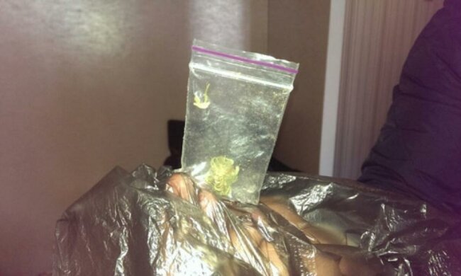 Харківські правоохоронці схопили продавця метадону (фото)