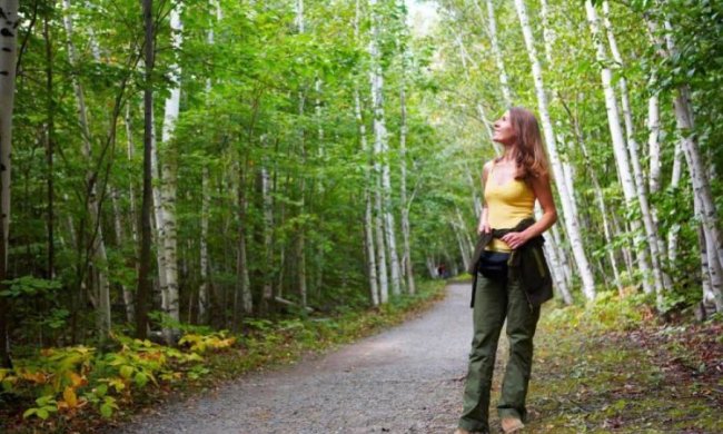 Погода на 11 квітня: антициклон вбереже українців від дощів і холоду