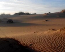 Зміни клімату, фото з відкритих джерел