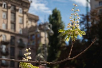 Погода на 8 травня: синоптик заспокоїла новим прогнозом