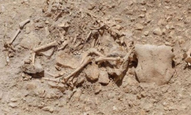 Британські археологи знайшли поховання "міфічних" тварин 