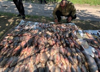 незаконний вилов риби