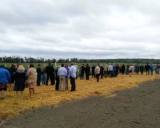 Ціле село шукає управу на неадекватного фермера