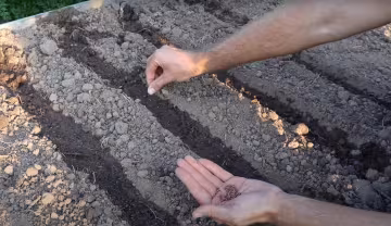 город, скріншот з відео