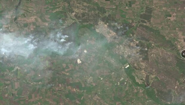 оккупанты уничтожили более 17 тысяч гектаров леса на Луганщине