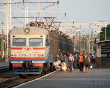 Мерзенні тварюки захопили вагони Укрзалізниці: фото не для вразливих
