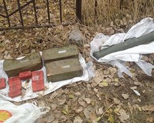 На Луганщині знайшли схованку з боєприпасами та вибухівкою (фото)