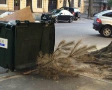 В Одесі зафіксували новий рекорд з викидання ялинки