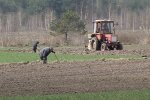 Блискавка влучила у візок з людьми, кадр з репортажу рівно 1: YouTube