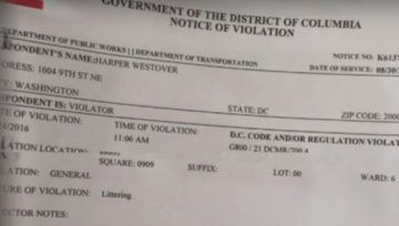 Дворічну американку оштрафували на 75 доларів (відео)
