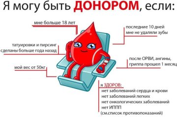 Інфографіка: Народний ревізор / Телеграм