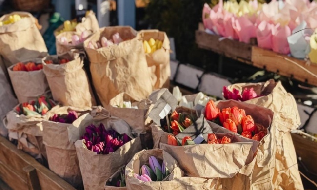 Тюльпани, квіти, фото із соцмереж