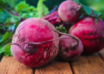 Червоний буряк, фото з відкритих джерел