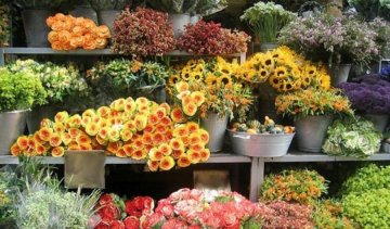 Як наживаються продавці квітів на 8 березня