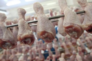 Українська курятина потрапить на ринки Єгипту