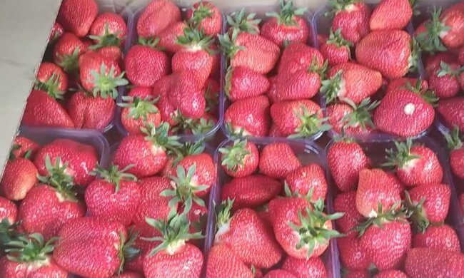 Полуниця, фото: скріншот з відео