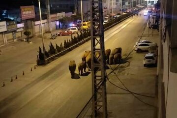 Публикация Егора Фирсова, скриншот: Facebook