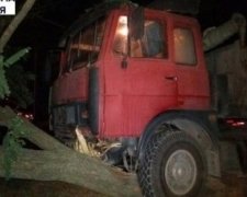 Водій розбився, знепритомнівши за кермом (ФОТО)