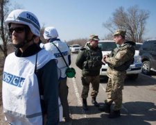 Состав ОБСЕ: стало известно, сколько агрессоров в миссии