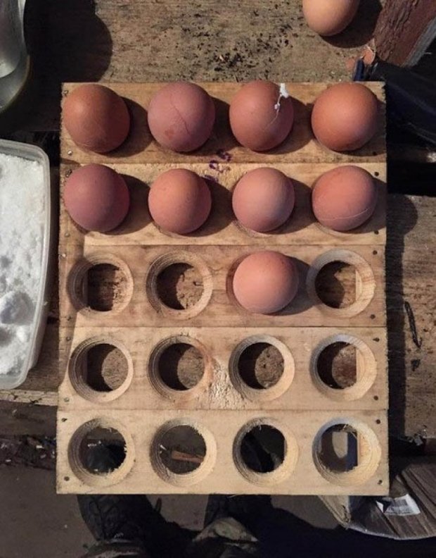 В Горлівці полюють за тарою від зброї - в ній зручно зберігати яйця