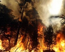 Кілометри вогню: у Росії оголосили надзвичайний стан