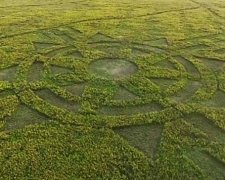 Вчені виявили загадкові круги на полях поблизу Амазонки