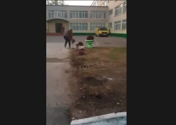 У школі викопують квіти, скріншот з відео