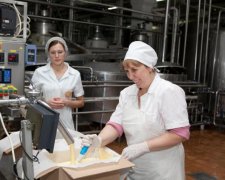 Украина завалит маслом весь Евросоюз