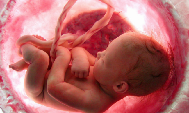 Чим займається дитина в утробі матері: відео