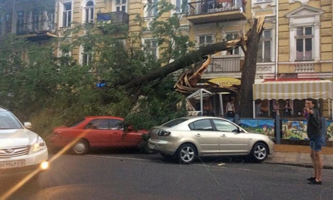 Ураган в Одесі валив дерева на людей (фото)