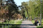 Парк Киото - фото tripadvisor