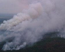 Лісова пожежа знову спалахнула під Києвом