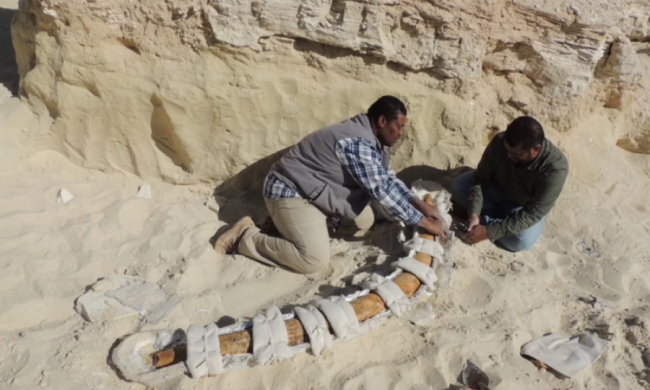 Знахідка археологів змусила вчених переглянути поняття "людина"